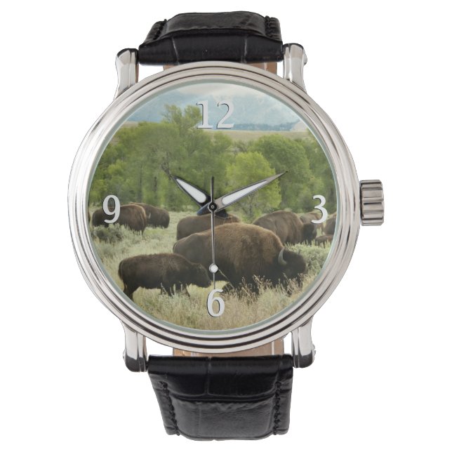 Wyoming Bison Natuur Animal Fotografie Horloge (Voorkant)