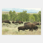Wyoming Bison Natuur Animal Fotografie Inpakpapier Vel (Voorkant 2)