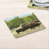 Wyoming Bison Natuur Animal Fotografie Kartonnen Onderzetters (Schuin)