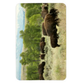 Wyoming Bison Natuur Animal Fotografie Magneet (Verticaal)