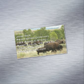 Wyoming Bison Natuur Animal Fotografie Magnetisch Visitekaartje (Voorbeeld)