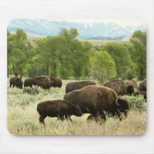 Wyoming Bison Natuur Animal Fotografie Muismat (Voorkant)