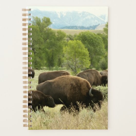 Wyoming Bison Natuur Animal Fotografie Planner (Voorkant)