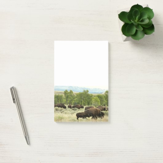 Wyoming Bison Natuur Animal Fotografie Post-it® Notes (Kantoor)