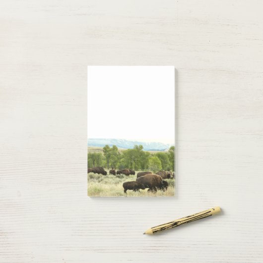 Wyoming Bison Natuur Animal Fotografie Post-it® Notes (Op bureau)