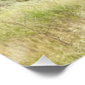 Wyoming Bison Natuur Animal Fotografie Poster (Hoek)