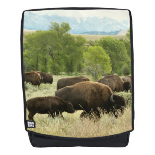 Wyoming Bison Natuur Animal Fotografie Rugtassen