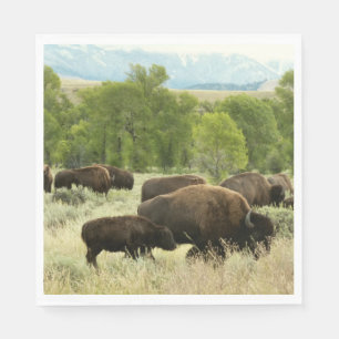 Wyoming Bison Natuur Animal Fotografie Servetten