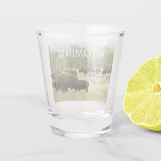 Wyoming Bison Natuur Animal Fotografie Shot Glas (Achterkant)