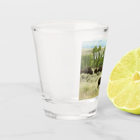 Wyoming Bison Natuur Animal Fotografie Shot Glas (Links)