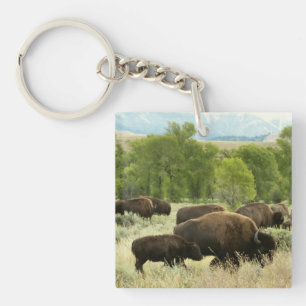 Wyoming Bison Natuur Animal Fotografie Sleutelhanger
