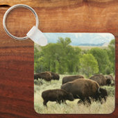 Wyoming Bison Natuur Animal Fotografie Sleutelhanger (Voorkant)