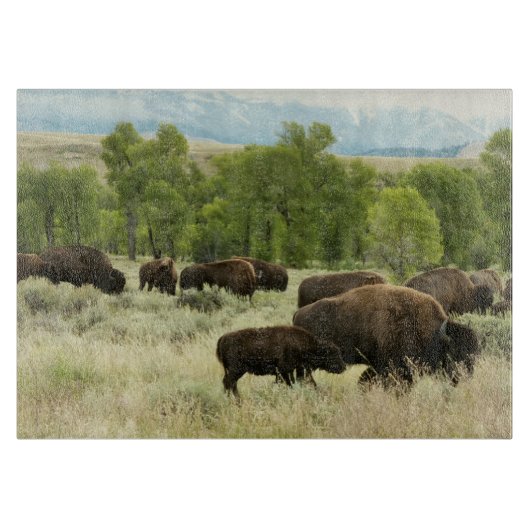 Wyoming Bison Natuur Animal Fotografie Snijplank (Voorkant)