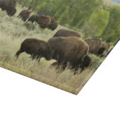 Wyoming Bison Natuur Animal Fotografie Snijplank (Hoek)