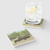 Wyoming Bison Natuur Animal Fotografie Stenen Onderzetter (Zijkant)