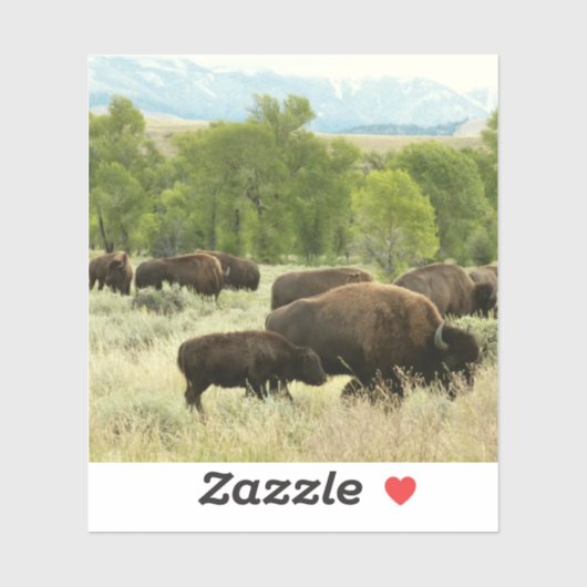 Wyoming Bison Natuur Animal Fotografie Sticker (Vel)