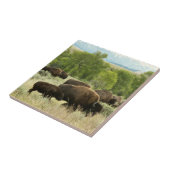 Wyoming Bison Natuur Animal Fotografie Tegeltje (Zijkant)