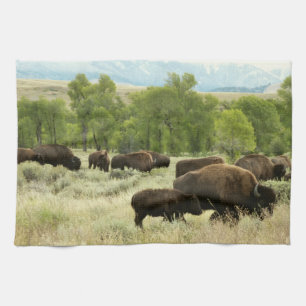 Wyoming Bison Natuur Animal Fotografie Theedoek