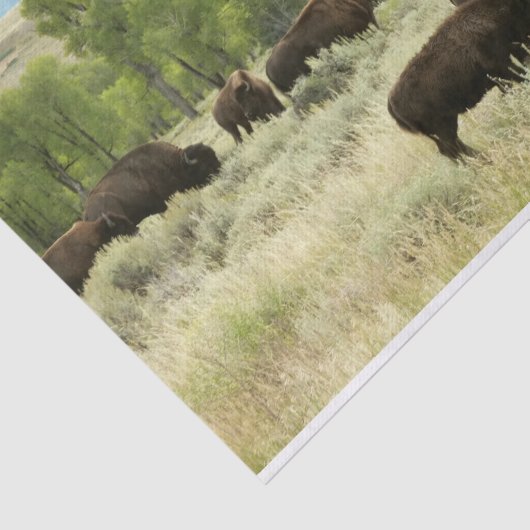 Wyoming Bison Natuur Animal Fotografie Tissuepapier (Detail)