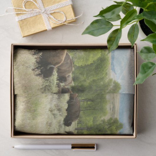 Wyoming Bison Natuur Animal Fotografie Tissuepapier (Geschenk)