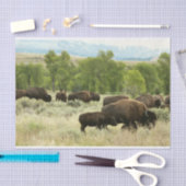 Wyoming Bison Natuur Animal Fotografie Tissuepapier (Craft)