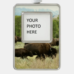Wyoming Bison Natuur Animal Fotografie Verzilverd Omlijst Ornament