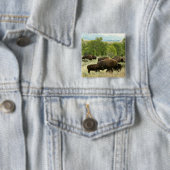 Wyoming Bison Natuur Animal Fotografie Vierkante Button 5,1 Cm (In situ)