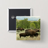 Wyoming Bison Natuur Animal Fotografie Vierkante Button 5,1 Cm (Voorkant /achterkant)