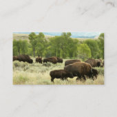 Wyoming Bison Natuur Animal Fotografie Visitekaartje (Achterkant)