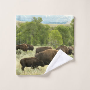 Wyoming Bison Natuur Animal Fotografie Washandje