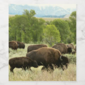 Wyoming Bison Natuur Animal Fotografie Wijn Etiket (Enkel label)