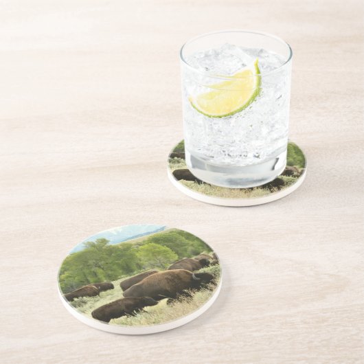 Wyoming Bison Natuur Animal Fotografie Zandsteen Onderzetter (Zijkant)