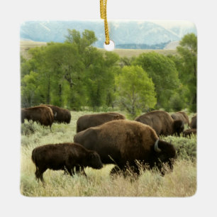 Wyoming Bizons Natuur Dieren Fotografie Keramisch Ornament