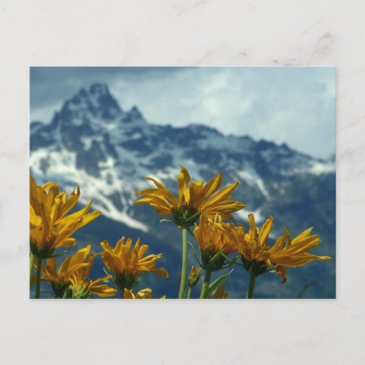 Wyoming Briefkaart (Voorkant)