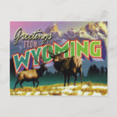 Wyoming Briefkaart (Voorkant)