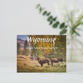 Wyoming Buffalo Briefkaart (Staand voorkant)