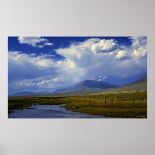 Wyoming Creek Poster (Voorkant)