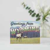 Wyoming Elk Grand Teton Mountains Briefkaart (Staand voorkant)