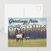 Wyoming Elk Grand Teton Mountains Briefkaart (Voorkant / Achterkant)