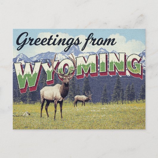 Wyoming Elk Grand Teton Mountains Briefkaart (Voorkant)