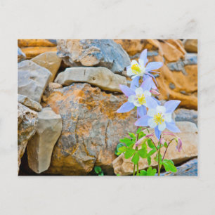 Wyoming, Grand Teton National Park 1 Briefkaart