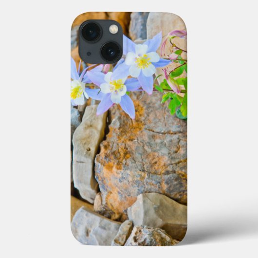 Wyoming, Grand Teton National Park 1 Case-Mate iPhone Case (Achterkant)