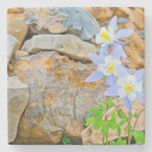 Wyoming, Grand Teton National Park 1 Stenen Onderzetter