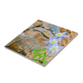 Wyoming, Grand Teton National Park 1 Tegeltje (Zijkant)