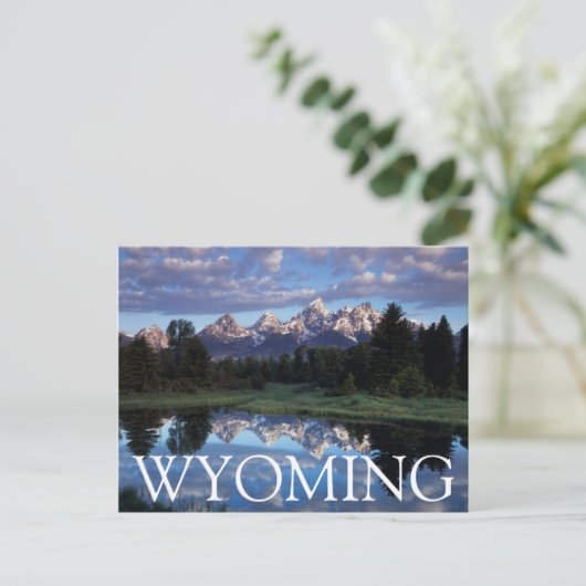 Wyoming, Grand Teton National Park 4 Briefkaart (Staand voorkant)