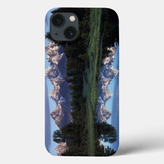 Wyoming, Grand Teton National Park 4 Case-Mate iPhone Case (Achterkant)