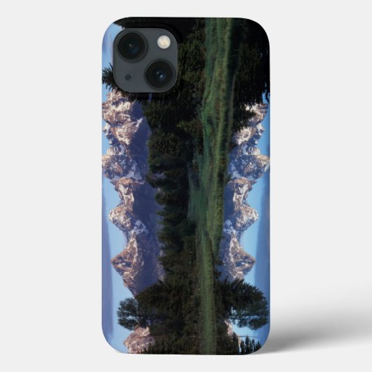 Wyoming, Grand Teton National Park 4 Case-Mate iPhone Case (Achterkant)