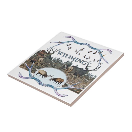 WYOMING in het wild Tegeltje (Zijkant)