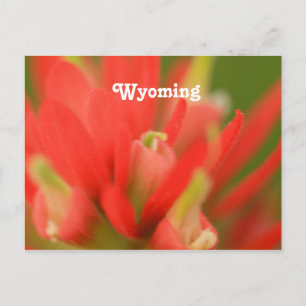 Wyoming Indian Paintborstel Briefkaart