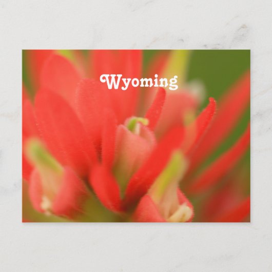 Wyoming Indian Paintborstel Briefkaart (Voorkant)